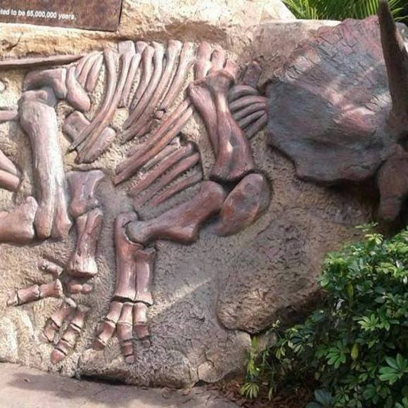 Meet your Posher, Mario - Picture 1 of 1